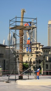 Construction Scaffolds